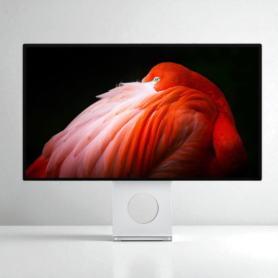 DSDR Monitor
