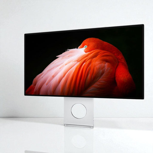 DSDR Monitor