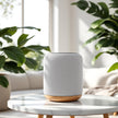 BTF Speaker