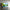 GVS95D TV