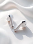 PG2G Earbuds
