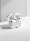FSP2G Earbuds