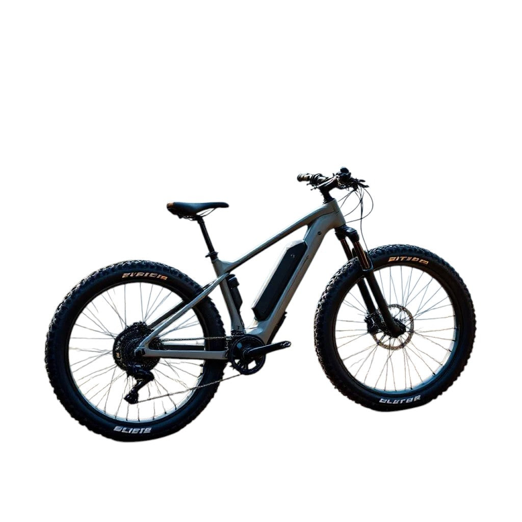 Electric bike 2 Wave